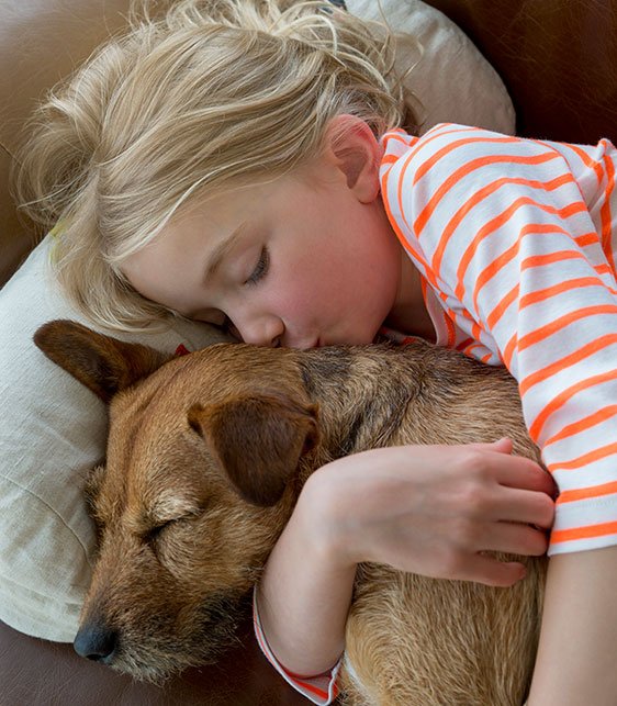 Construir una vivienda unifamiliar o chalet niña durmiendo con su perro en casa unifamiliar